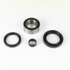 ProX Radlager Set für TRX450ES \'98-01