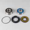 ProX Radlager Set für LT-F250 Ozark \'02-14