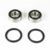 ProX Radlager Set für Moto TM 125/250/300 \'96-04