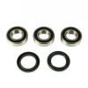 ProX Radlager Set für RM125/250 \'00-12