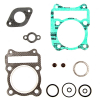 ProX Zylinderdichtsatz für LT-Z250 \'04-09 +LT-F250 Ozark \'02-14