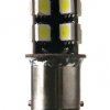 Spahn CANBUS Lampe wie 12V 10W Ba15s 19SMD warm weiß (373803) E-Geprüft