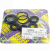 Centauro Motorwellendichtringsatz 666A065SR
