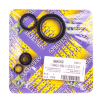 Centauro Motorwellendichtringsatz 666A135SR