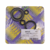Centauro Motorwellendichtringsatz 666A155SR