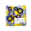 Centauro Motorwellendichtringsatz 666A215SR