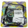 Centauro Zylinderdichtsatz 666A248TP