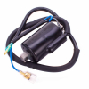 Geiwiz Zündspule für CB450/350/250