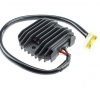 TourMax Regler für Yamaha RGU-219  ,,Nicht  Mehr Lieferbar\'\'