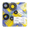 Centauro Motorwellendichtringsatz 933A001SR