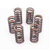 Kit de ressorts d'embrayage Premium pour KTM