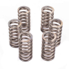 Kit de ressorts d'embrayage Premium pour Triumph