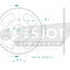 Esjot Stahl Kettenrad 44Z 415