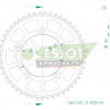 Esjot Aluminium Kettenrad 49Z 420