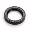 Kawasaki SIMMERRING