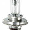 Lampa HS1 Halogenlampe  12V 35/35W PX43T