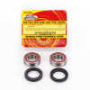 Pivot Works Radlagersatz vorne inkl.Dichtringe für Kawasaki ZX6/ZX6R/ZX9R/ZX10R/KLE/Ninja/VN
