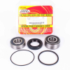 Pivot Works Radlagersatz hinten inkl.Dichtringe für Honda GL 1500 Goldwing/Valkyrie - ST 1100 Pan European