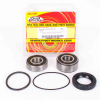 Pivot Works Radlagersatz hinten inkl.Dichtringe für Honda NTV 700 - VT 1100 Shadow