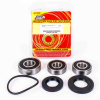Pivot Works Radlagersatz hinten inkl.Dichtringe für Honda CB 1100 F - VF 700/750 Interceptor F