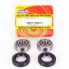 Pivot Works Radlagersatz hinten inkl.Dichtringe für Harley Davidson FXD/FXST/XL