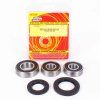 Pivot Works Radlagersatz hinten inkl.Dichtringe für Kawasaki GPZ 1100 / ZRX 1100 / ZX 10 / ZX 11