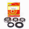 Pivot Works Radlagersatz hinten inkl.Dichtringe für Suzuki GSF1250 - GSX1300 - GSX-R600/750/1000/1300 - SV1000
