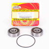 Pivot Works Radlagersatz hinten inkl.Dichtringe für Suzuki GS450/650/850/1000 - GV1200 - VL800 - VS1400 - VX800 - VZ800