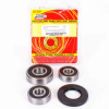 Pivot Works Radlagersatz hinten inkl.Dichtringe für Suzuki DR/GR650 - GS550/700 - LS650