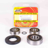 Pivot Works Radlagersatz hinten inkl.Dichtringe für Suzuki GS750/100/1150