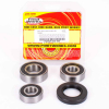 Pivot Works Radlagersatz hinten inkl.Dichtringe für Suzuki GN400 - GS300/425/450/550 - GT250/380/500/550 - T250/350/500