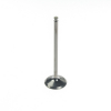 23.00 x 80.05 x 3.98 Wiseco Einlassventil (Titanium)