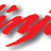 Stickers H.Q.S Aufkleber Ninja 14cm rot