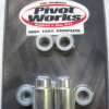 Pivot Works PWSAK-K11-020 Schwingenlager für Kawasaki KDX220